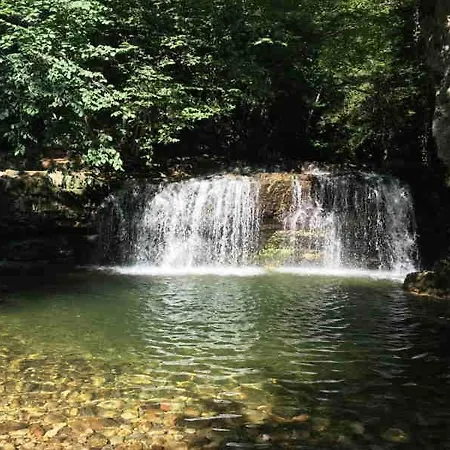 Lni Ferrera * Cunardo